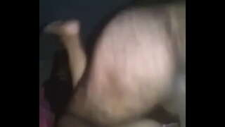 ���සල්වැසි පරිණත අවිශ්වාසවන්ත