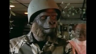 ̝� 놀이 원숭이의